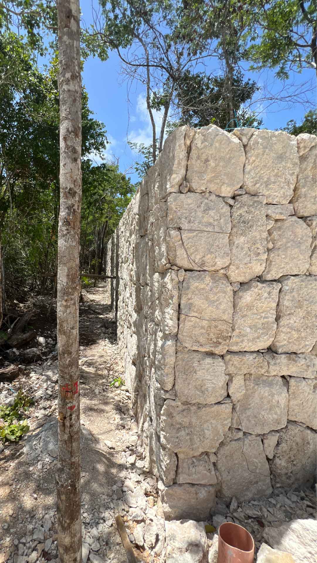 update-5